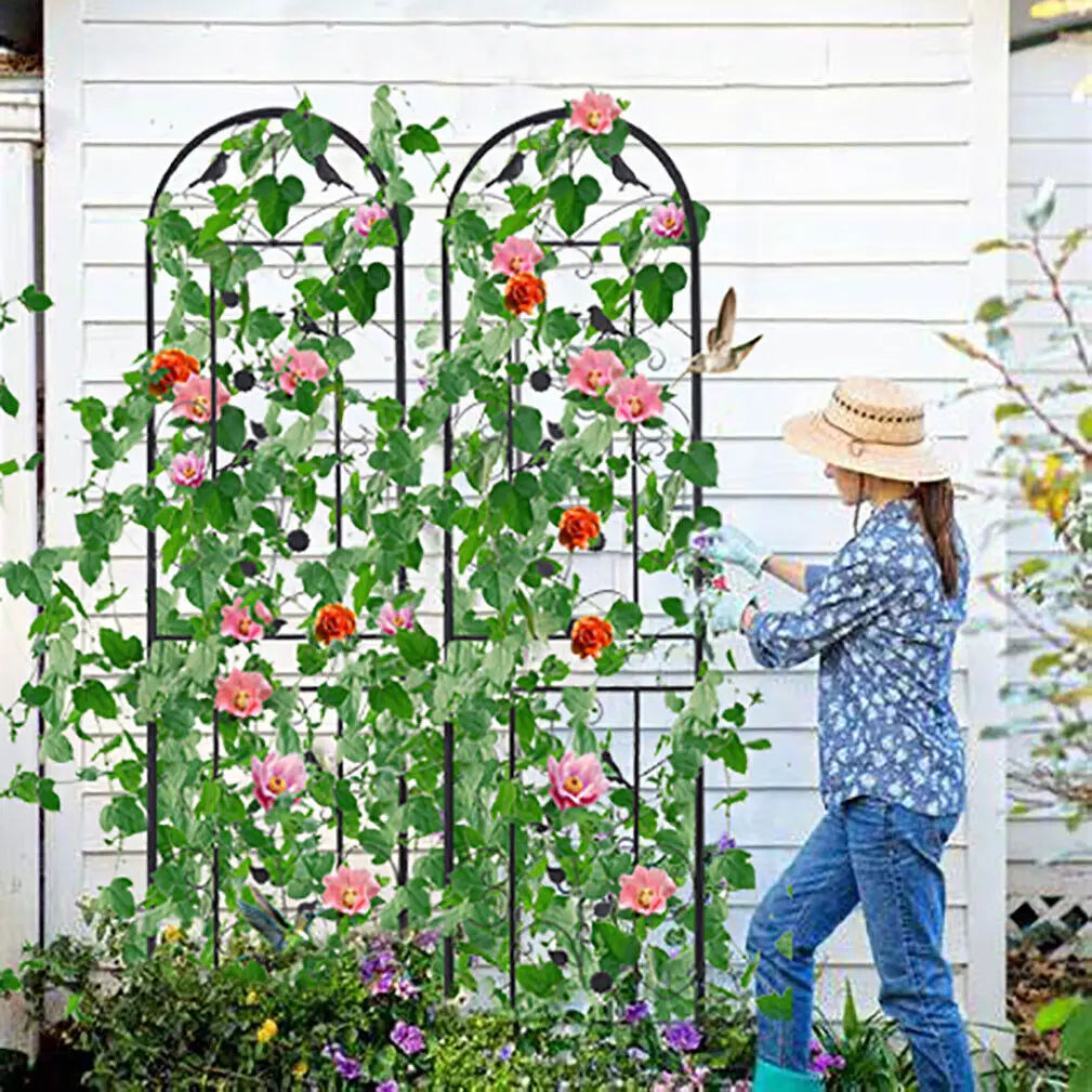 Metal Garden Trellis Fence Two Pack For Outdoor Anti Rust Climbing Plants