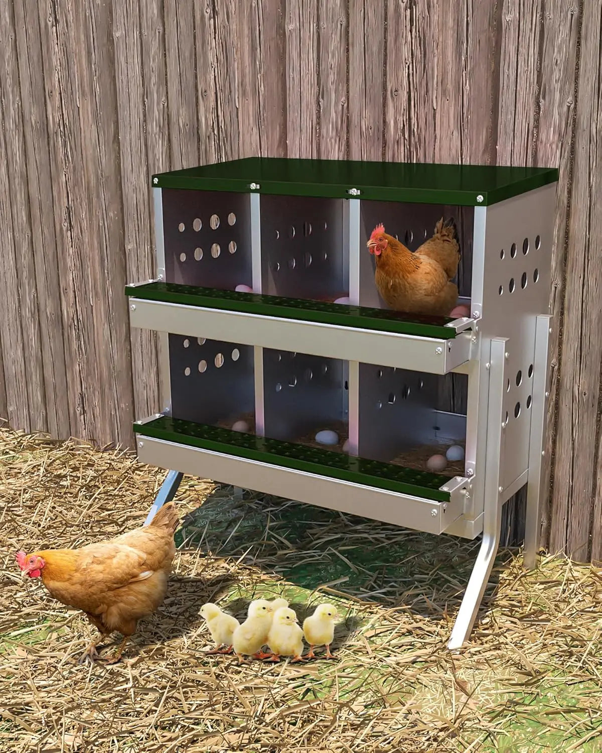 TWISTER.CK Metal Chicken Coop Nesting Box With Multi Compartment Rustproof Ventilated Roll Out Egg Collection For Hens