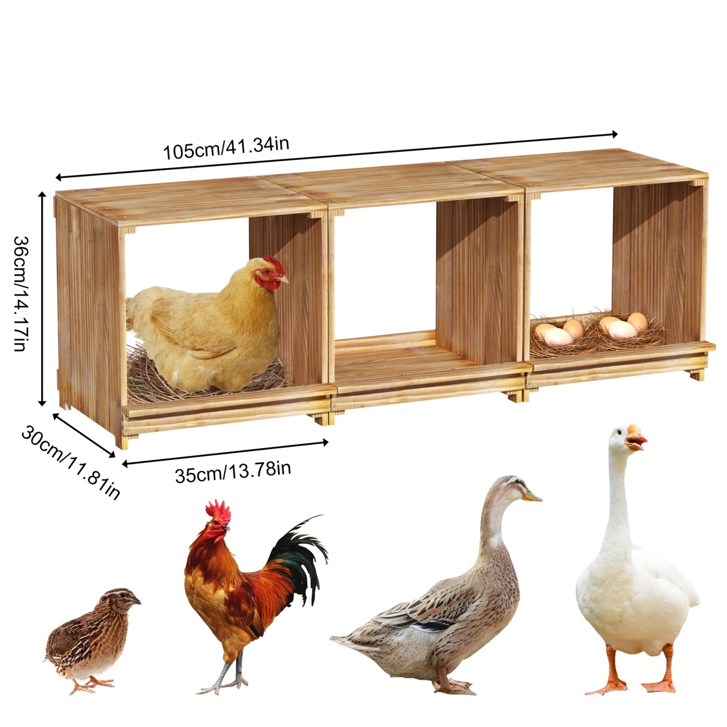 BINGOPAW Three-Compartment Pine Wood Chicken Nesting Box