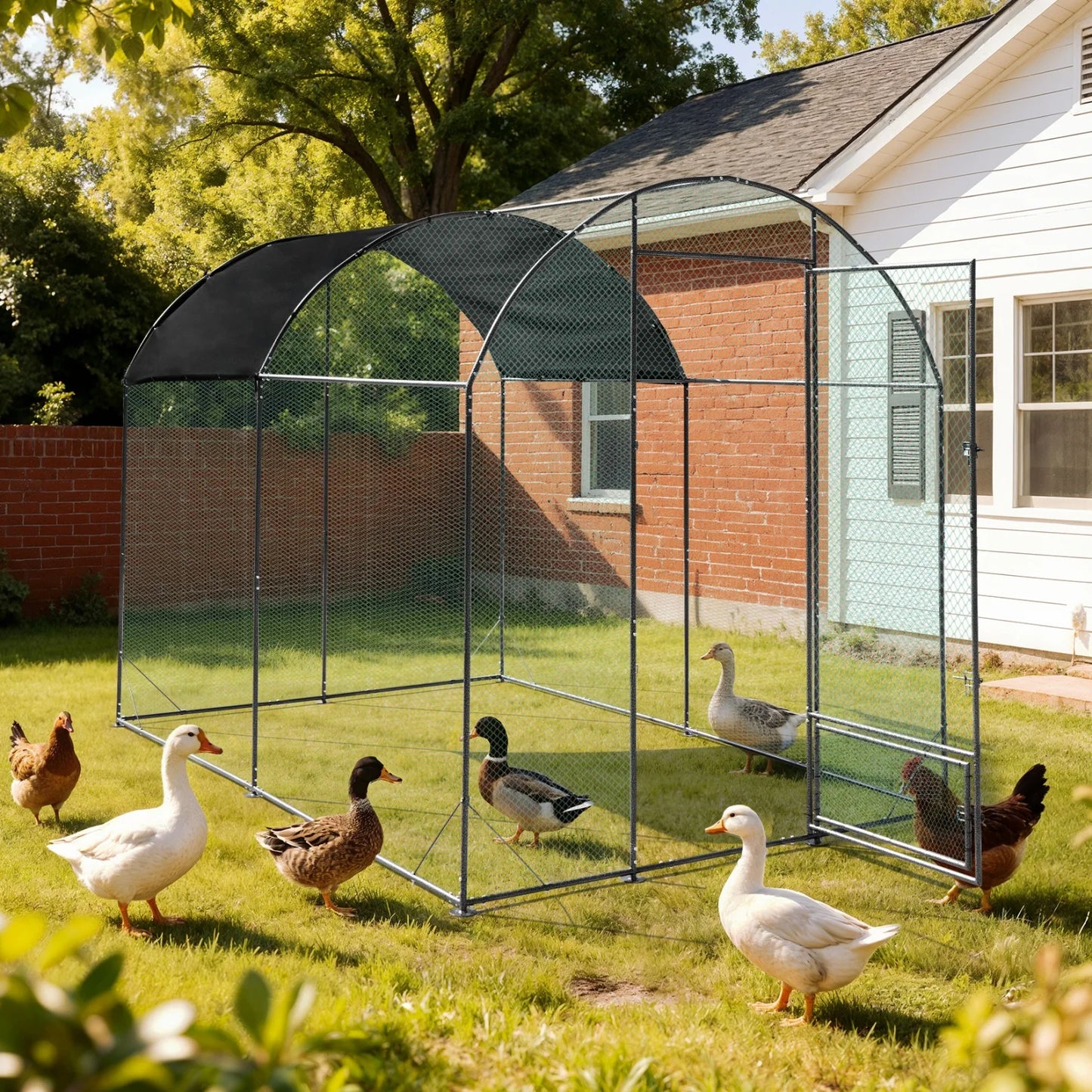 BINGOPAW Metal Walk In Chicken Coop with Nylon Netting