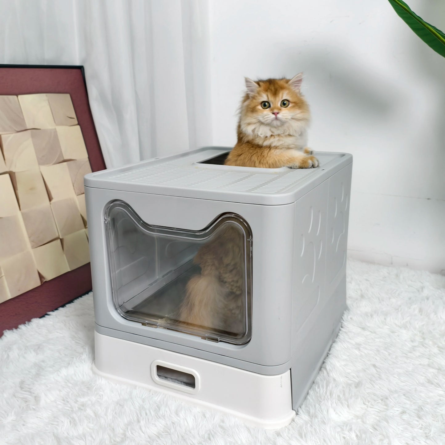 Cat Litter Box Front Entry Top Exit With Lid Kittens