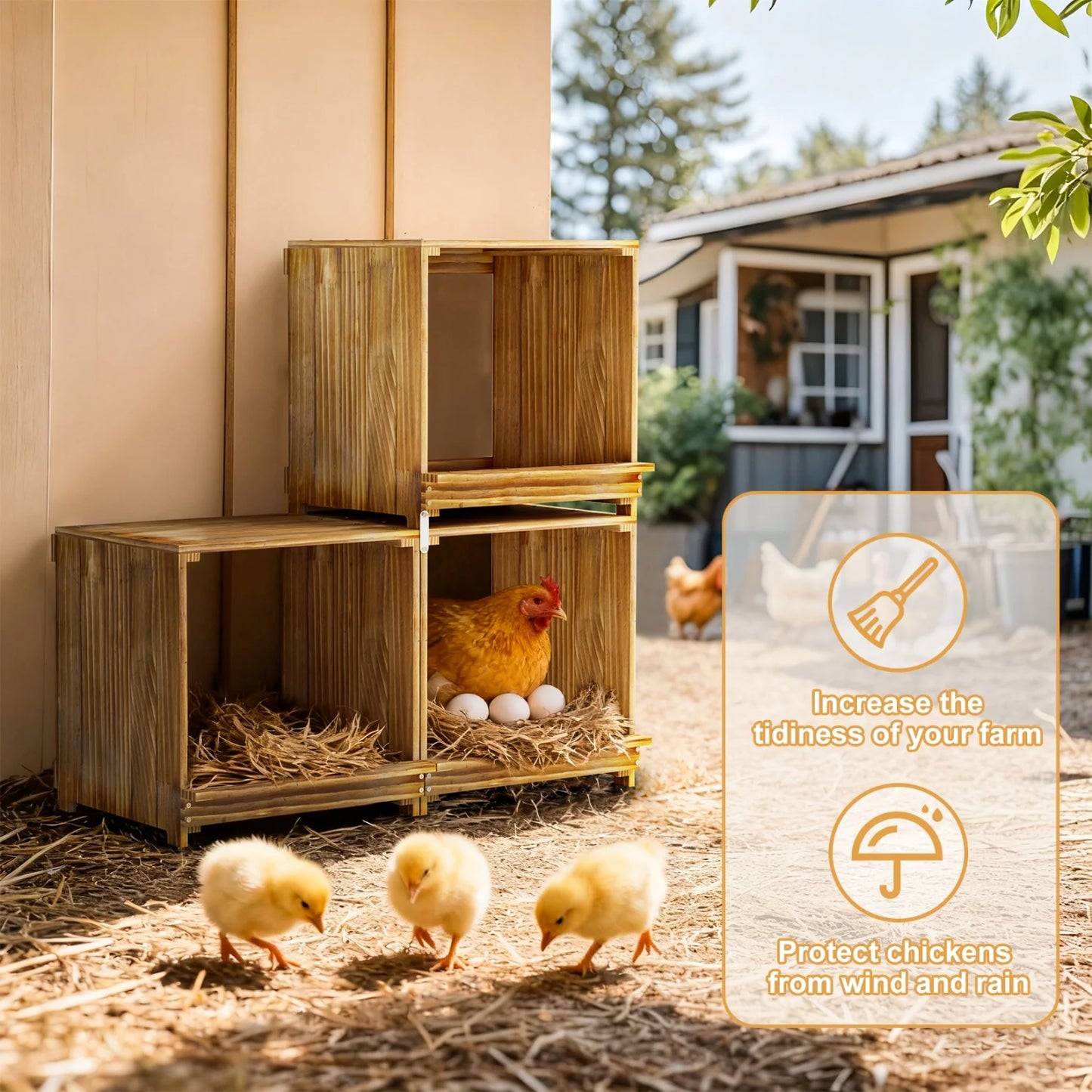 BINGOPAW Three-Compartment Pine Wood Chicken Nesting Box