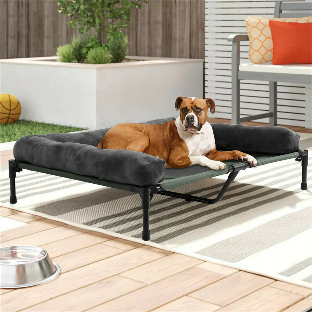 BINGOPAW Elevated Indoor Outdoor Pet Lounger Bed For Dogs Cats