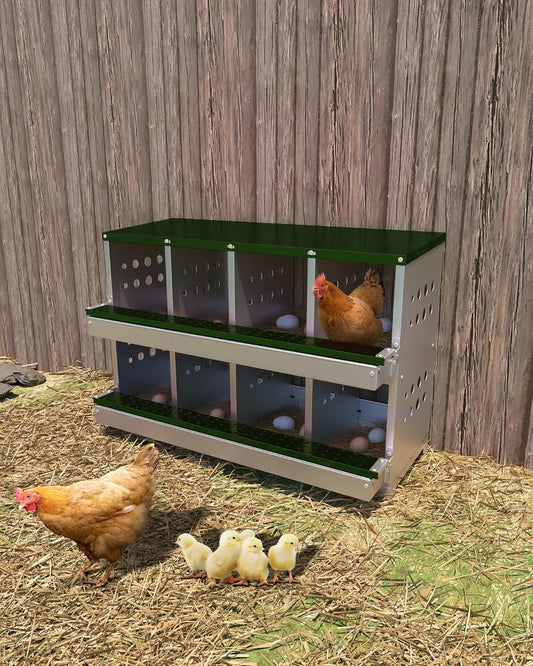 TWISTER.CK Metal Chicken Coop Nesting Box With Multi Compartment Rustproof Ventilated Roll Out Egg Collection For Hens