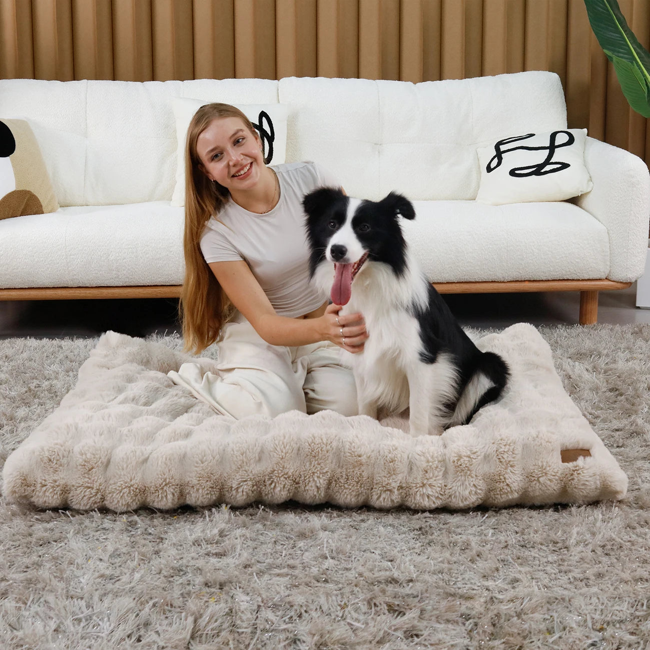 BINGOPAW Ultra-Soft Plush Dog Bed With Thick Foam Base Removable Cover