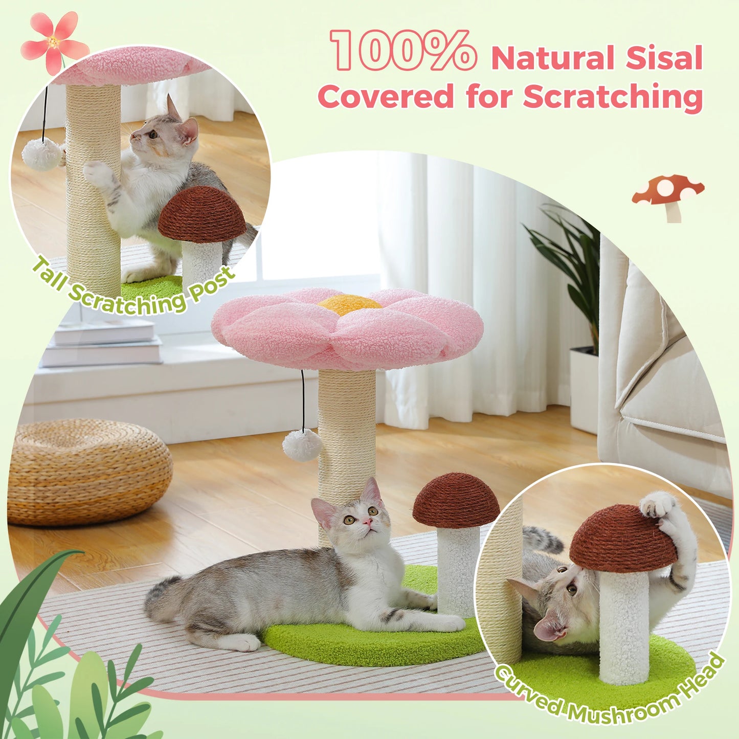 PAWZ Road Cat Scratching Post With Removable Flower Bed For Indoor Cats Dual Tier Wood Toy