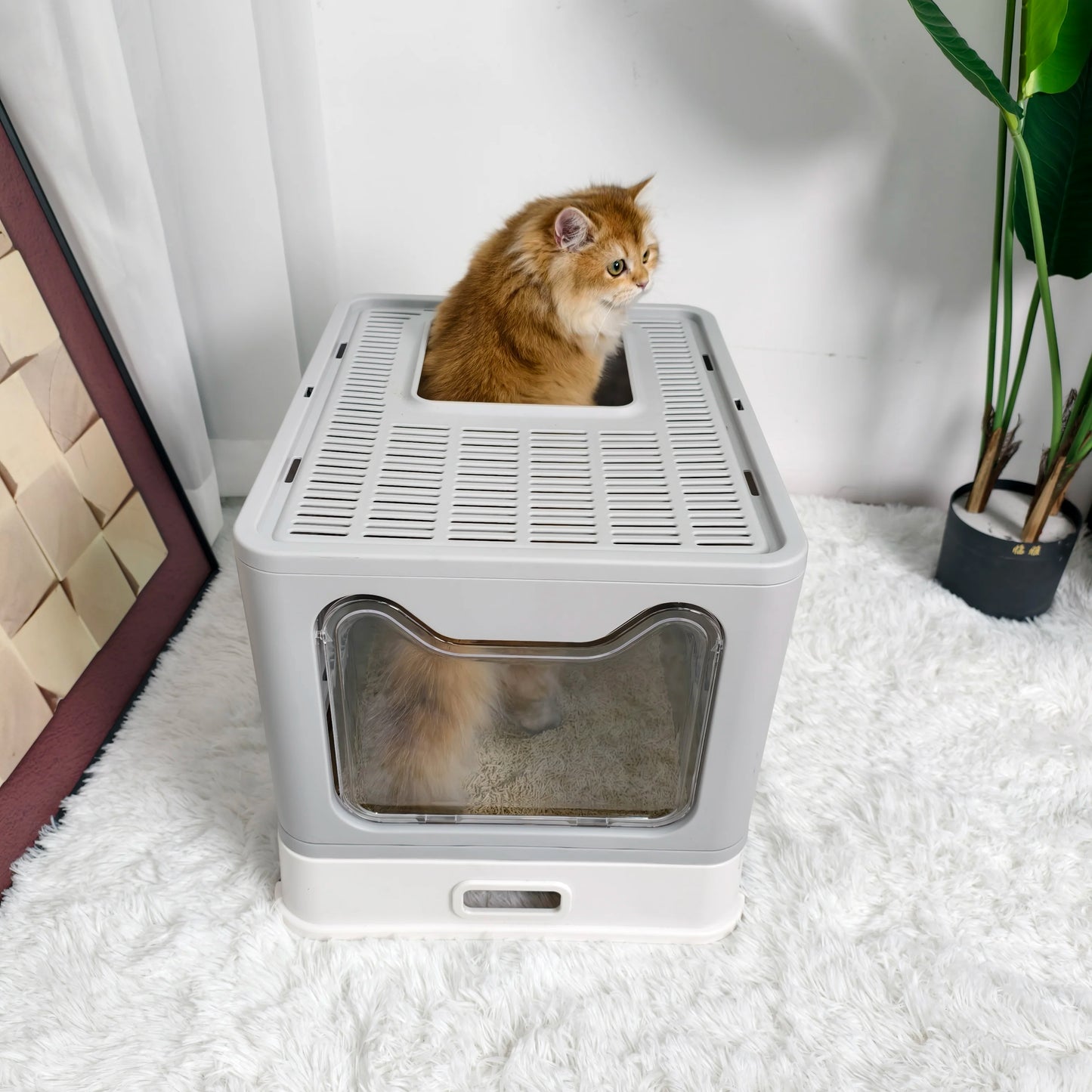 Cat Litter Box Front Entry Top Exit With Lid Kittens