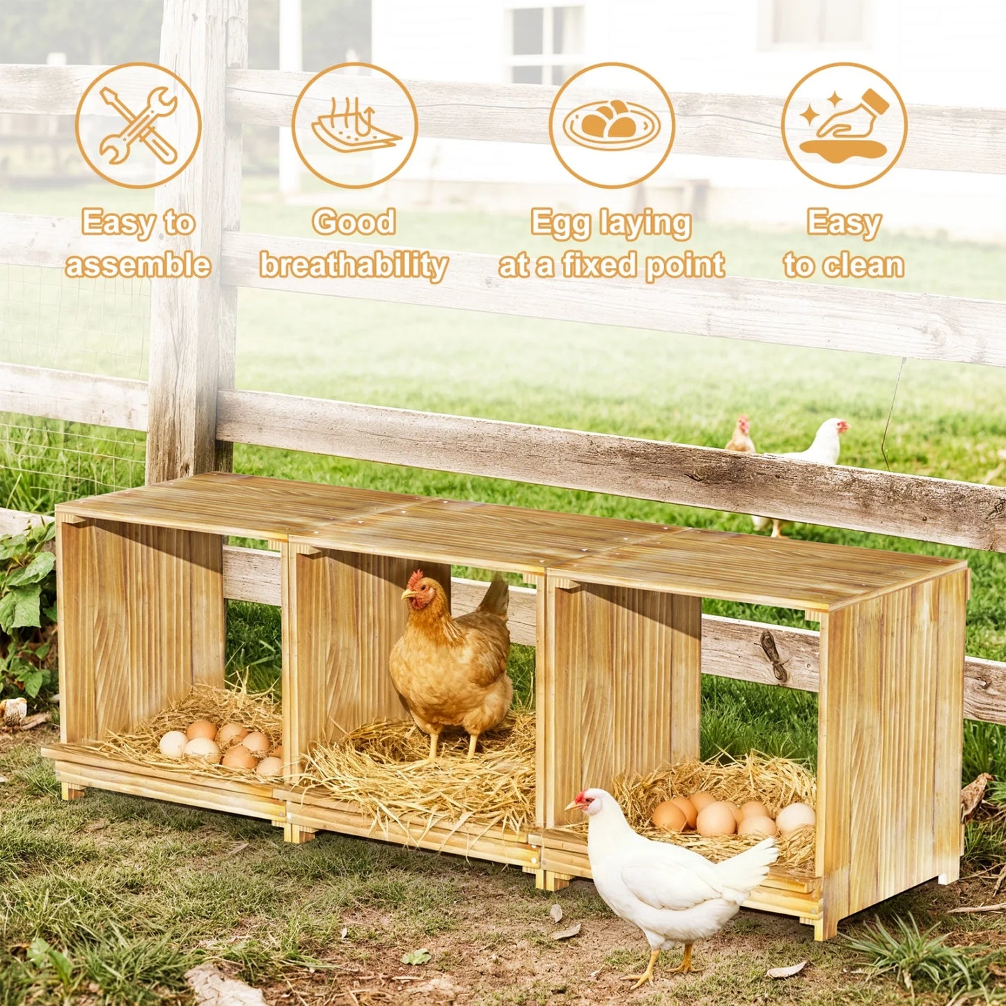 BINGOPAW Three-Compartment Pine Wood Chicken Nesting Box