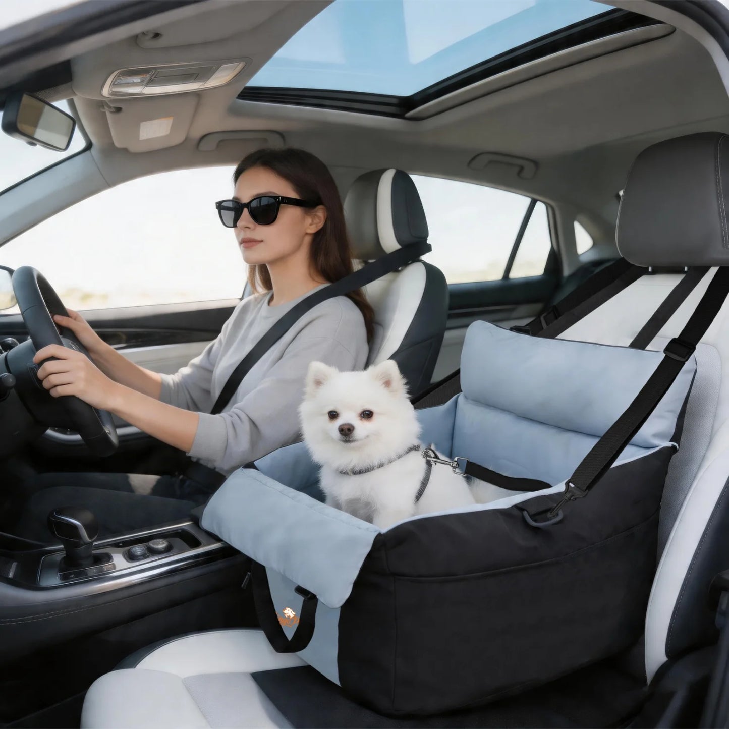 BINGOPAW Dog Car Seat With Safety Belt Washable Travel Bed