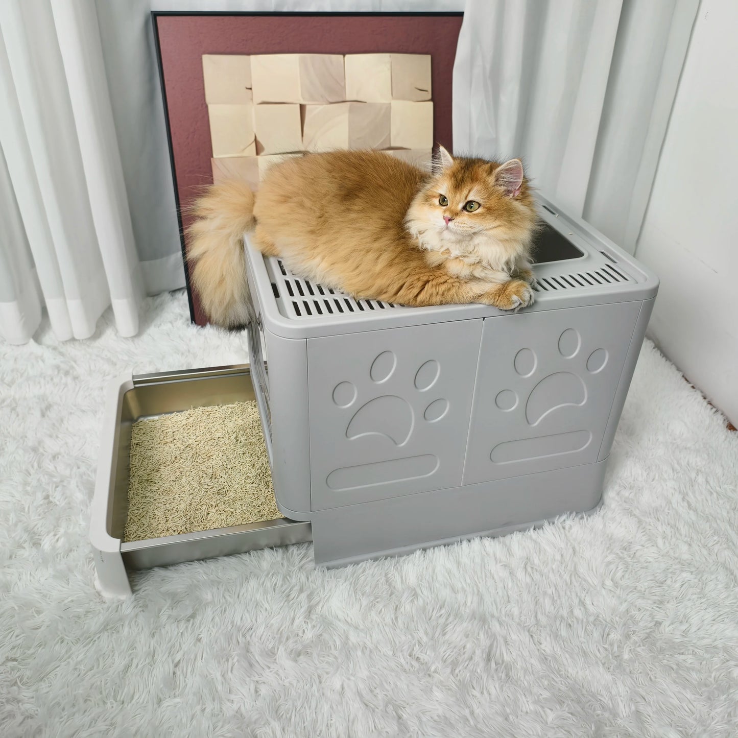 Cat Litter Box Front Entry Top Exit With Lid Kittens