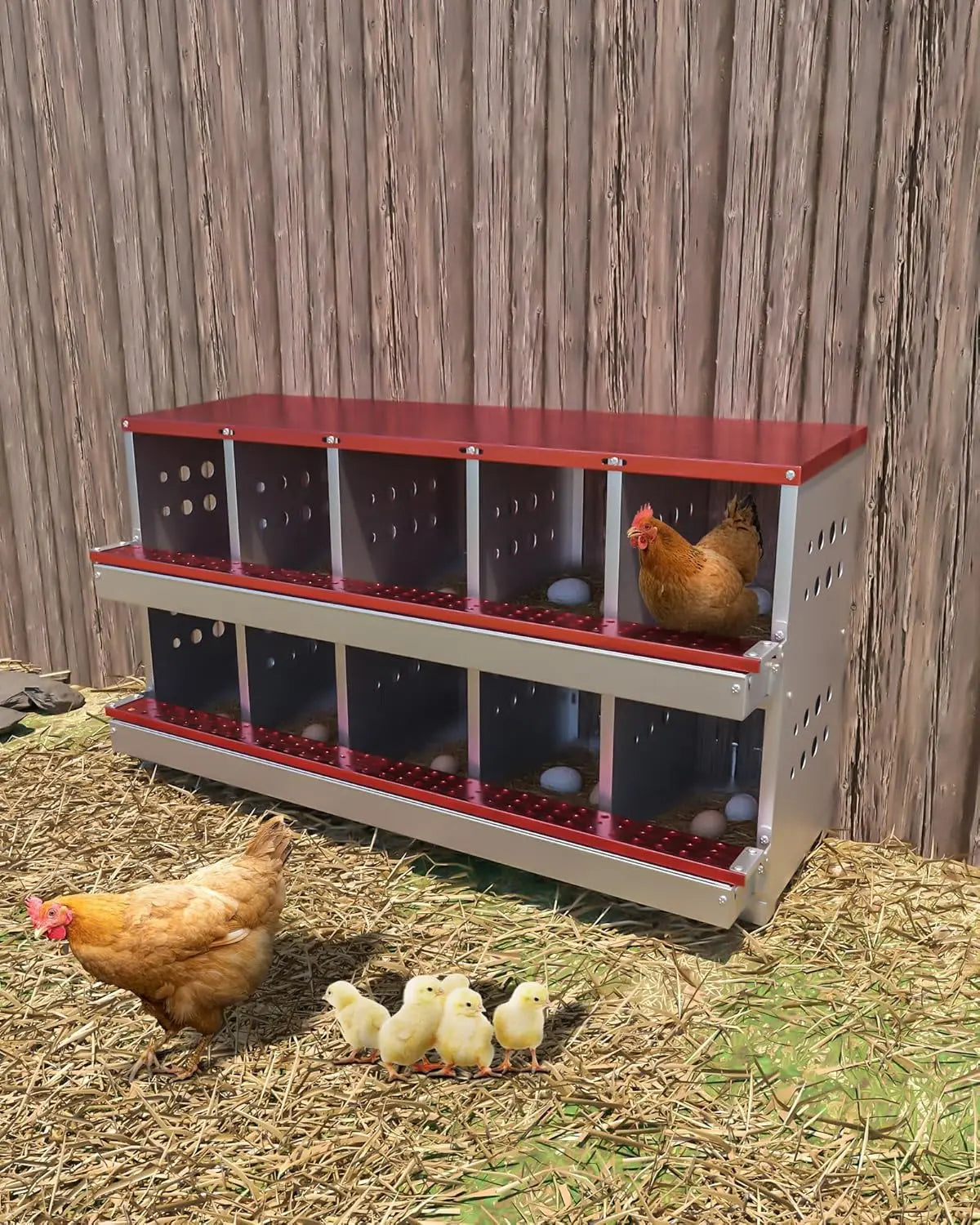 TWISTER.CK Metal Chicken Coop Nesting Box With Multi Compartment Rustproof Ventilated Roll Out Egg Collection For Hens
